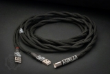 FAW Copper Series Twin USB for Audiophileo/M2Tech